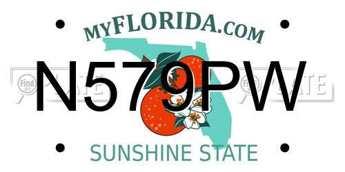 N579PW Florida License Plate