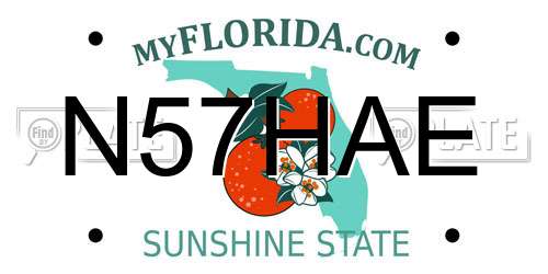 N57HAE Florida License Plate