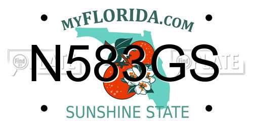 N583GS Florida License Plate