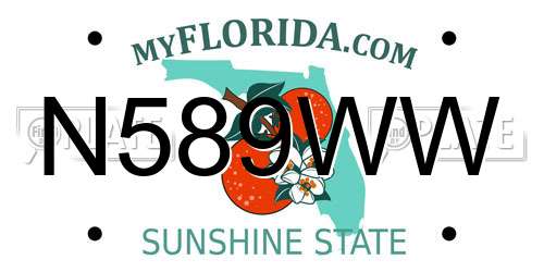 N589WW Florida License Plate