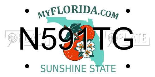 N591TG Florida License Plate
