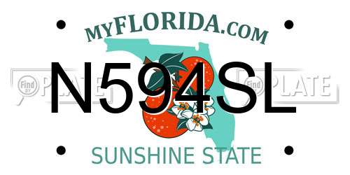 N594SL Florida License Plate