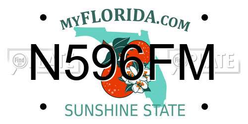 N596FM Florida License Plate