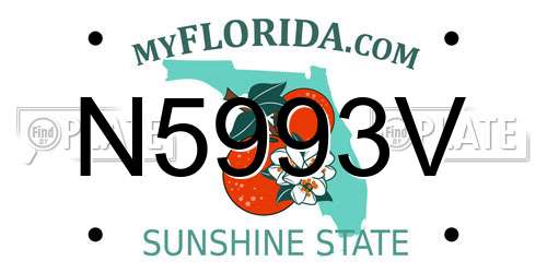 N5993V Florida License Plate