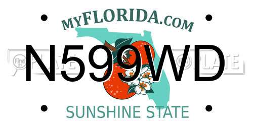 N599WD Florida License Plate