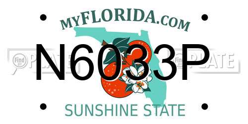 N6033P Florida License Plate