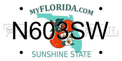 N603SW Florida License Plate