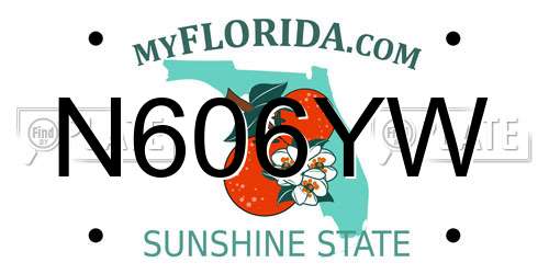 N606YW Florida License Plate