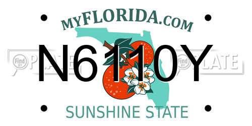 N6110Y Florida License Plate