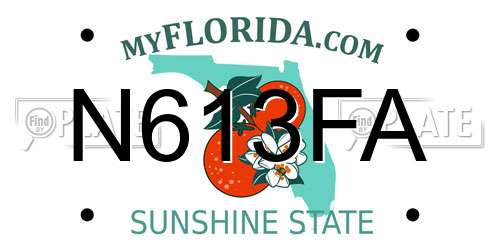 N613FA Florida License Plate