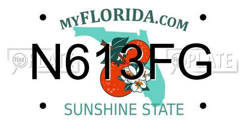N613FG Florida License Plate