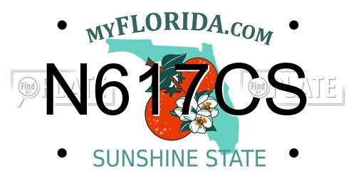 N617CS Florida License Plate