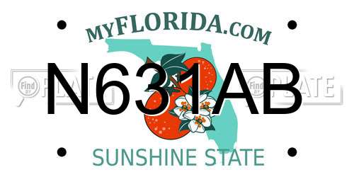 N631AB Florida License Plate