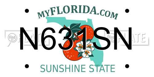 N631SN Florida License Plate