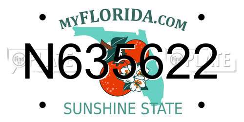 N635622 Florida License Plate