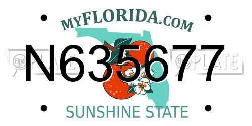N635677 Florida License Plate