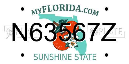 N63567Z Florida License Plate