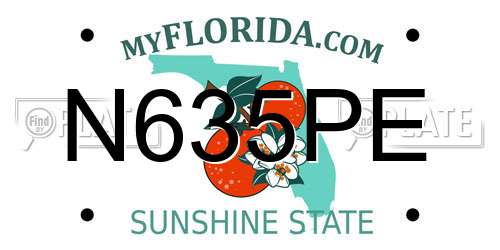 N635PE Florida License Plate