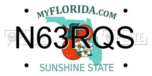 N63RQS Florida License Plate