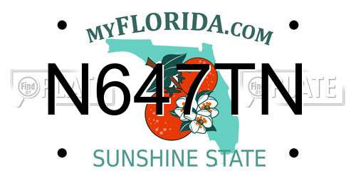 N647TN Florida License Plate