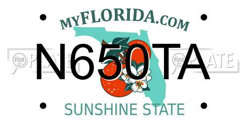 N650TA Florida License Plate