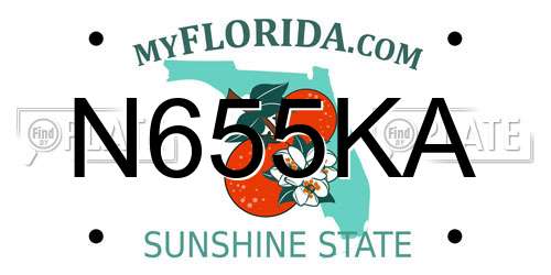N655KA Florida License Plate