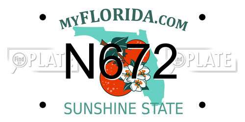 N672 Florida License Plate