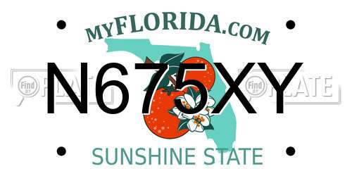 N675XY Florida License Plate