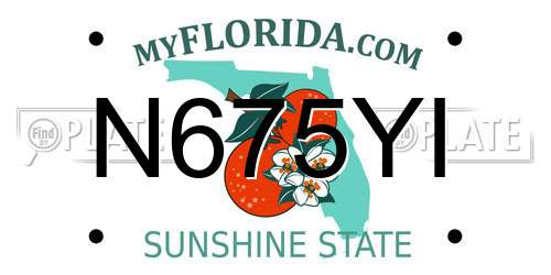 N675YI Florida License Plate