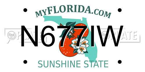 N677IW Florida License Plate
