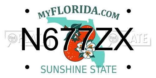 N677ZX Florida License Plate