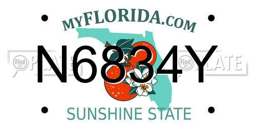 N6834Y Florida License Plate