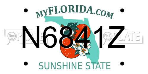 N6841Z Florida License Plate