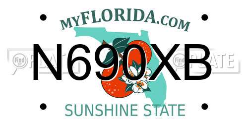 N690XB Florida License Plate