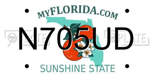 N705UD Florida License Plate