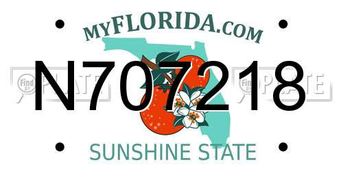 N707218 Florida License Plate
