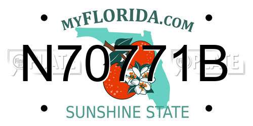 N70771B Florida License Plate