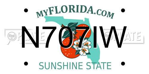 N707IW Florida License Plate