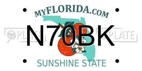 N70BK Florida License Plate
