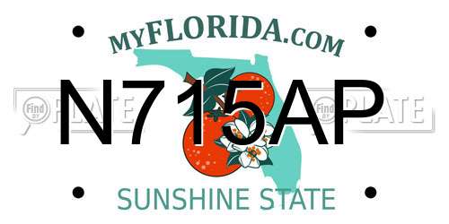 N715AP Florida License Plate