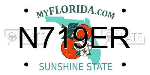 N719ER Florida License Plate