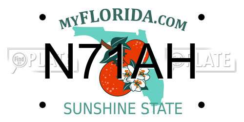 N71AH Florida License Plate