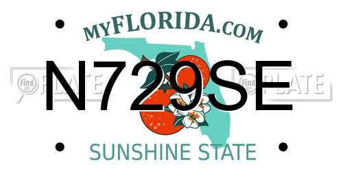 N729SE Florida License Plate