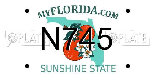 N745 Florida License Plate