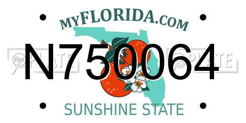 N750064 Florida License Plate