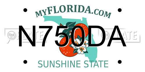N750DA Florida License Plate