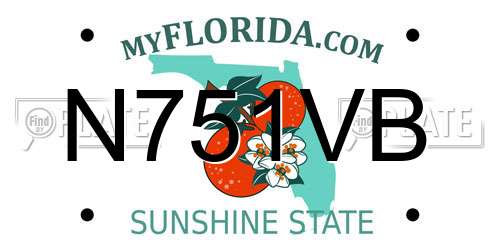 N751VB Florida License Plate