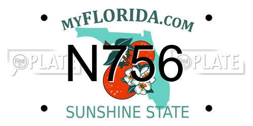 N756 Florida License Plate