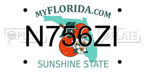 N756ZI Florida License Plate