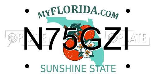 N75GZI Florida License Plate